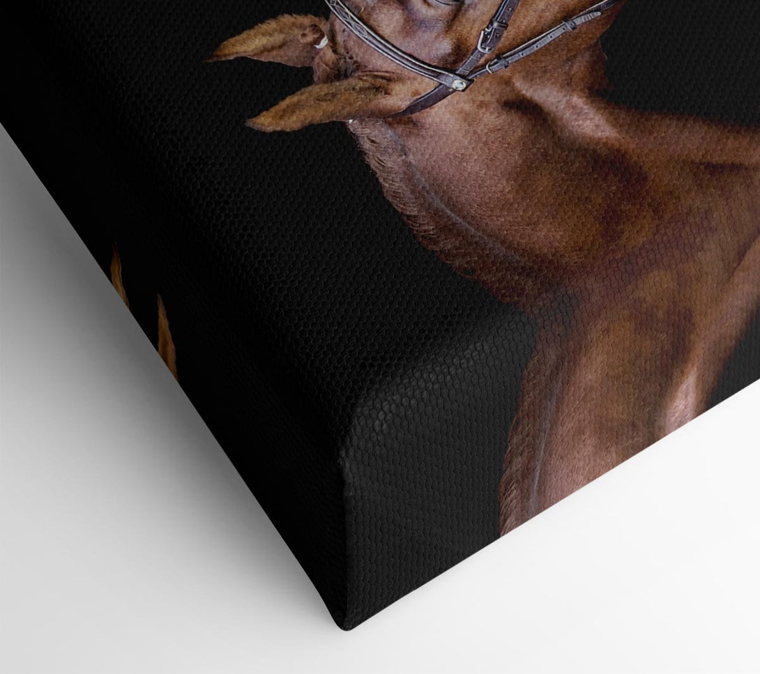  A Canvas Print of Horse Duo Canvas Print
