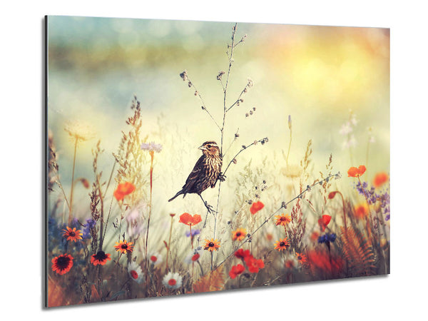 Bird in Paradise Metal Print