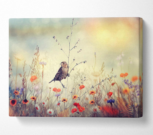  A Canvas Print of Bird in Paradise Canvas Wall Art