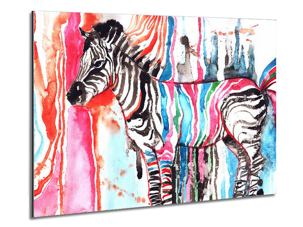 Funky Zebra Metal Print