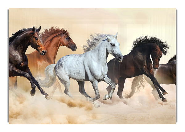 Wild Stallion Horse Desert