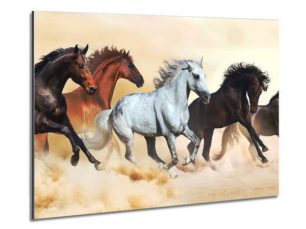 Wild Stallion Horse Desert Metal Print
