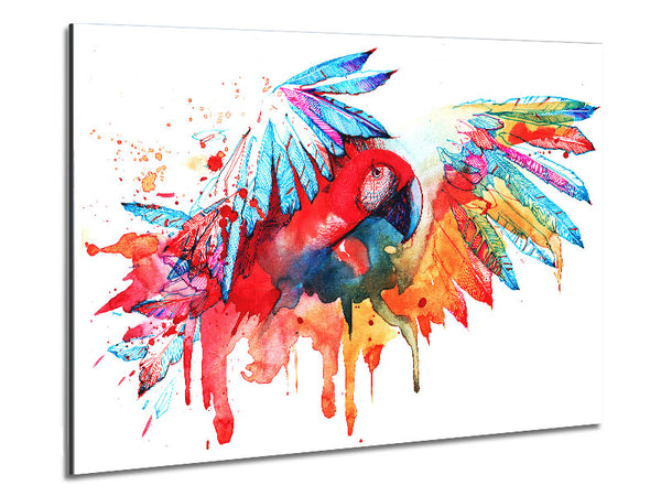 Colourful Parrot Metal Print