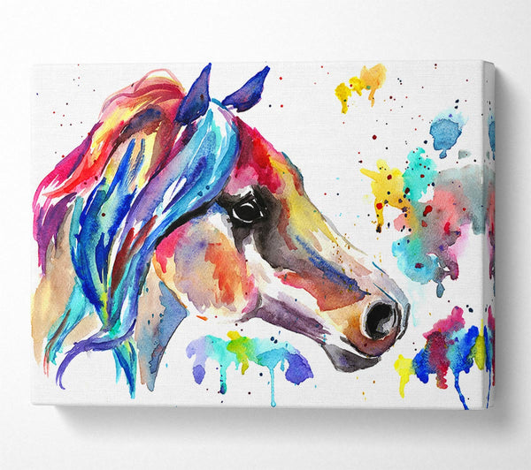  A Canvas Print of Rainbow Horse Canvas Print
