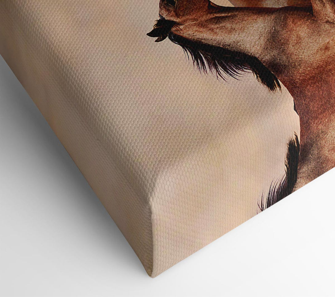  A Canvas Print of Horse Stampede Canvas Art