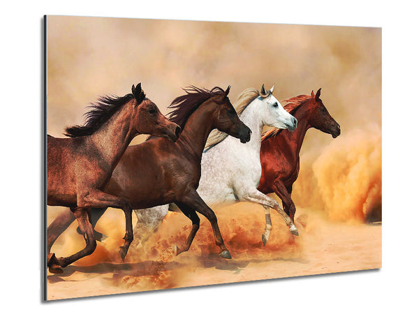 Pferdestampede