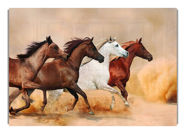 Horse Stampede