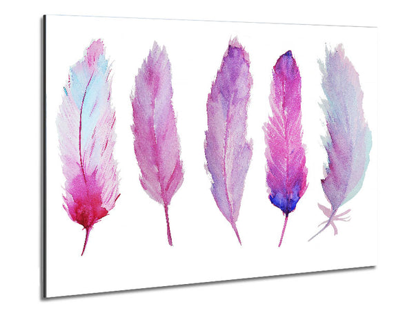 Pink Indian Feathers 1 Metal Print