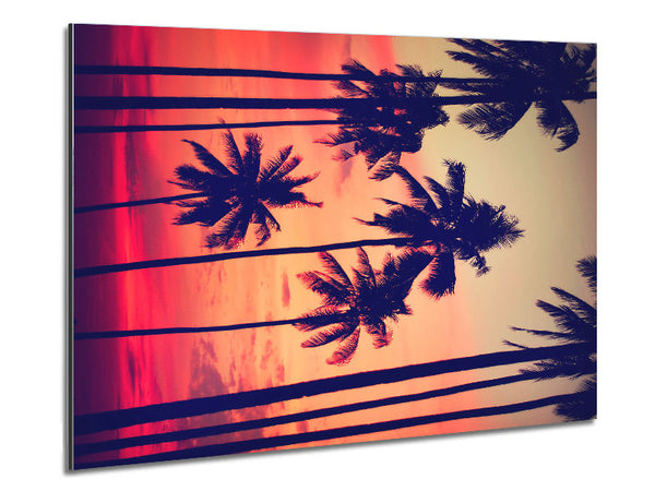 Californian Palm Trees Metal Print