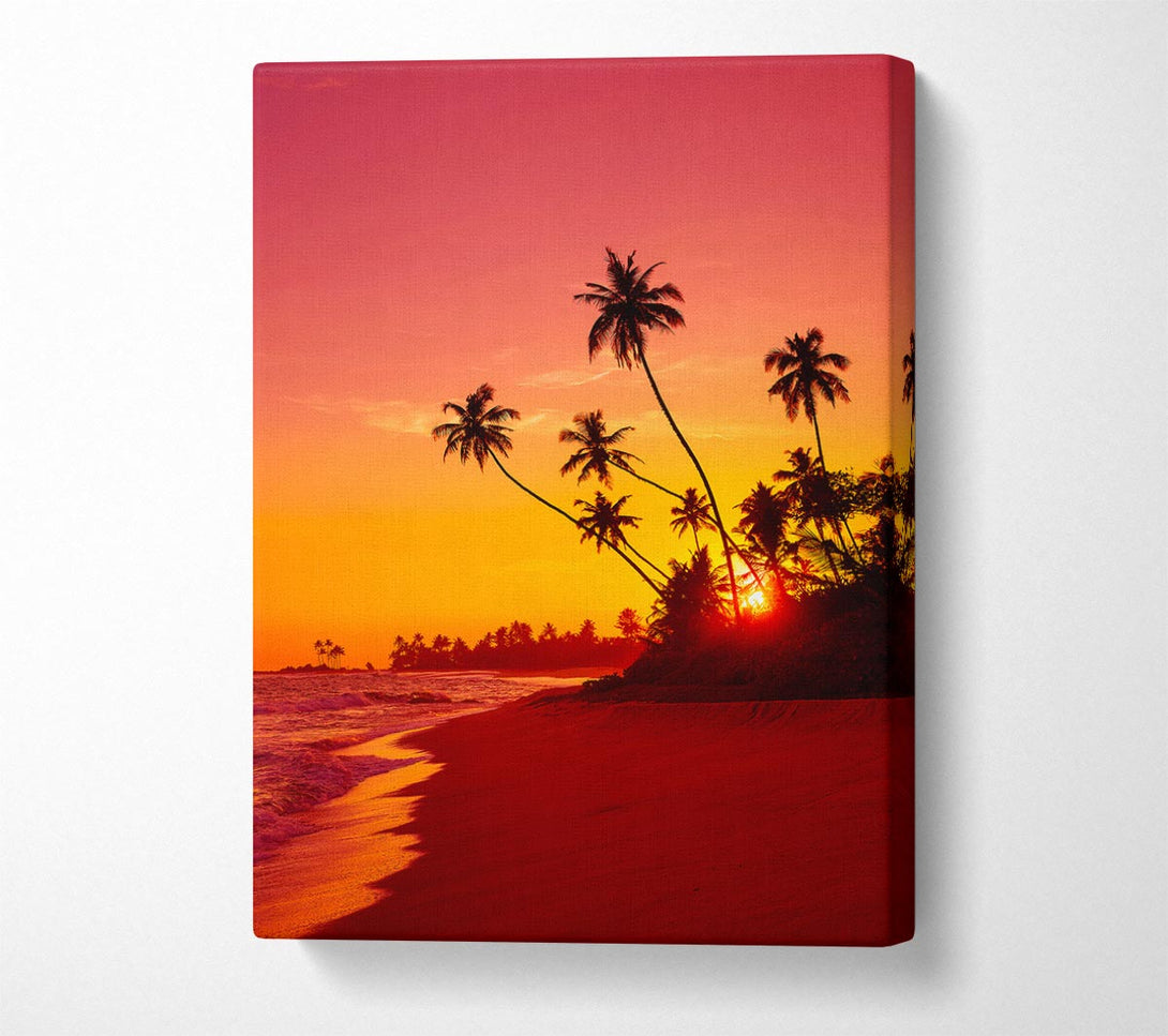  A Canvas Print of As The Sun Sets Under The Palm Trees Canvas Art