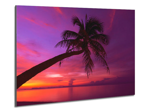 Palm Tree Skies Metal Print