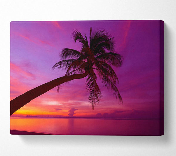  A Canvas Print of Palm Tree Skies Canvas Print