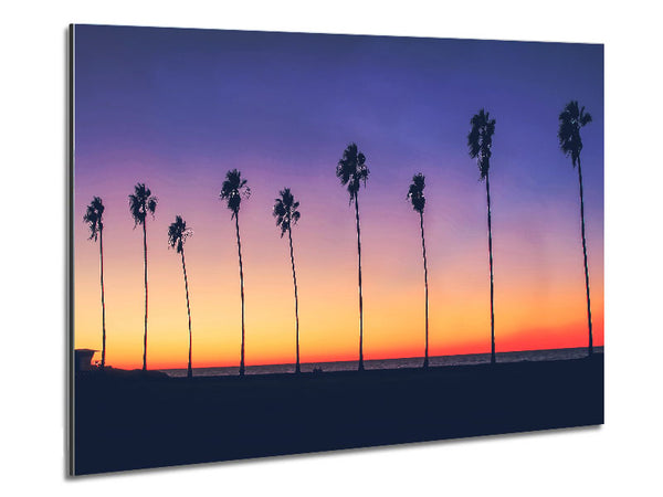 Palm Tree LineUp Metal Print