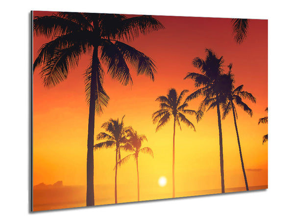 Golden 1 Metal Print