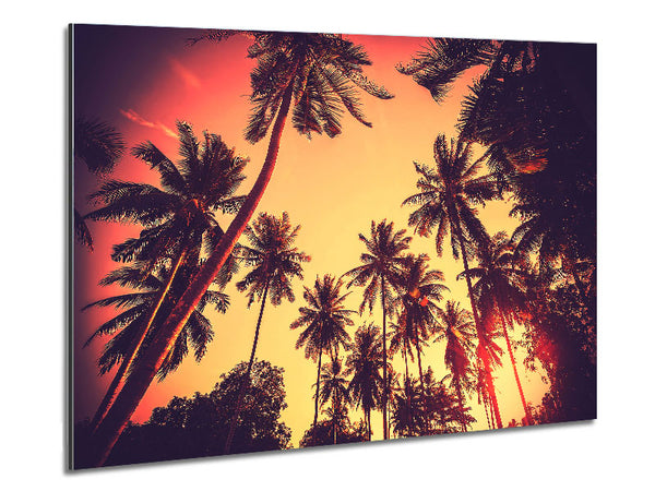 Just Palm Trees Metal Print