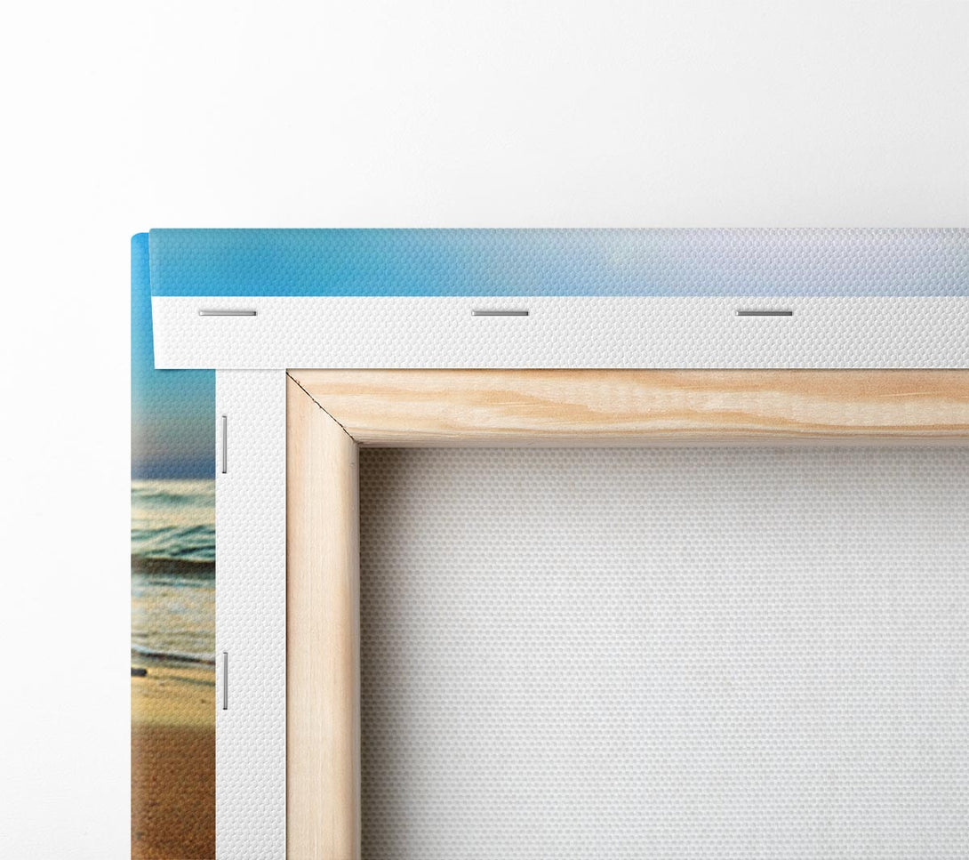  A Canvas Print of Starfish Sun Glow Canvas Print