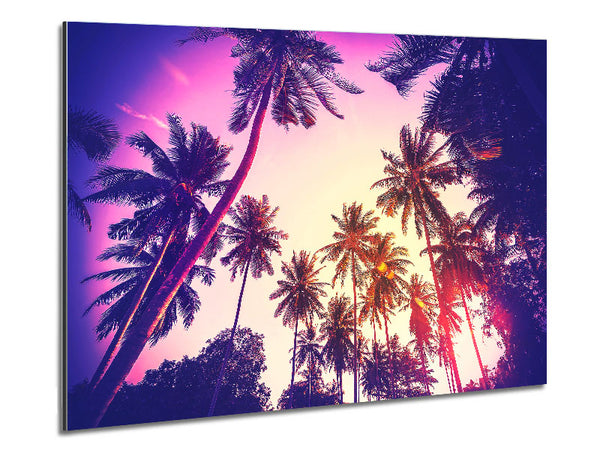 Palm Tree Glow Metal Print