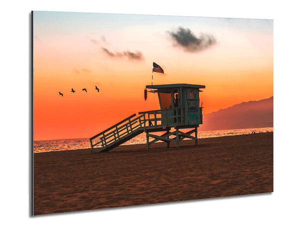 Birds Of Paradise Metal Print