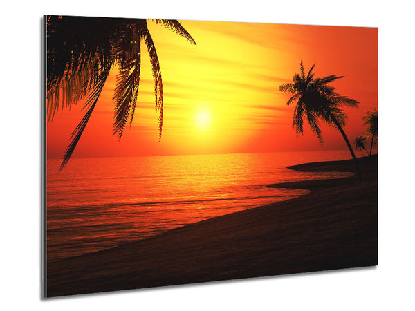 Sun Glow Metal Print