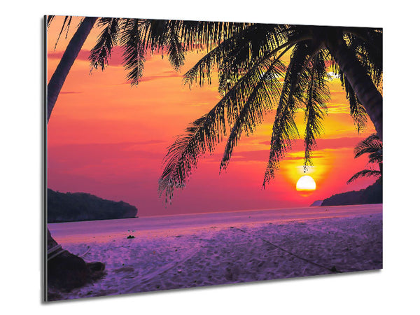 Between The Palm Trees Metal Print