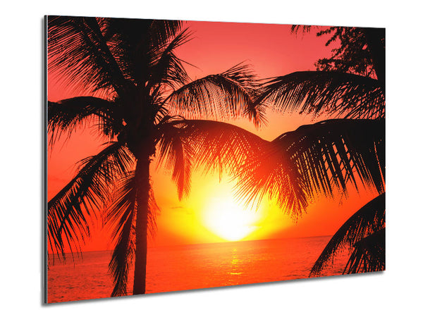Sun Between The Palm Trees Metal Print