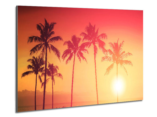 Palm Tree Haze Metal Print