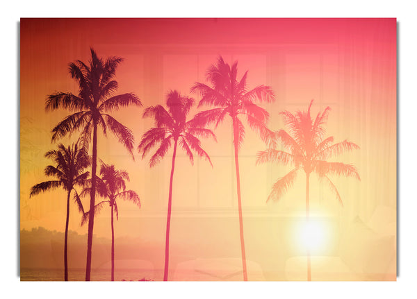 Palm Tree Haze