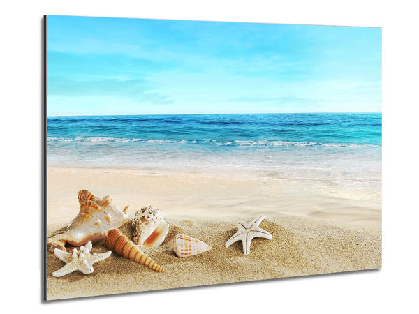 Ocean Shells Metal Print