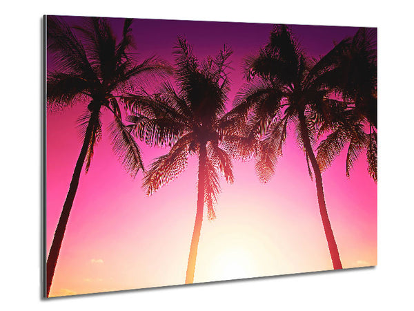 Los Angeles Sunset Palms Metal Print