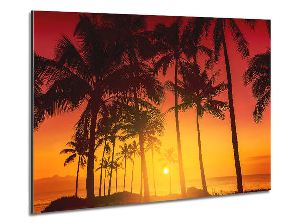 Perfect Palm Tree Delight Metal Print