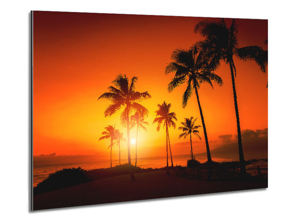 California Dreaming Metal Print