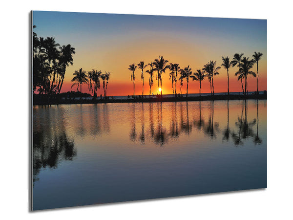 Reflections Of The Palm Trees Metal Print