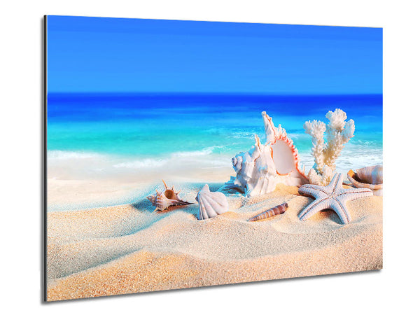 Perfect Ocean Shells Metal Print