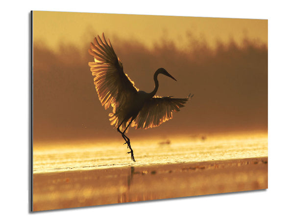 Dancing Sunset Heron Metal Print