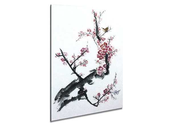Chinese Cherry Blossom Pink Metal Print
