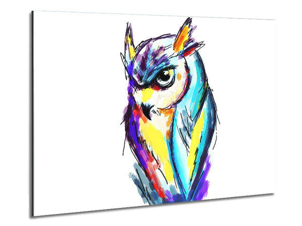 Rainbow Owl Metal Print