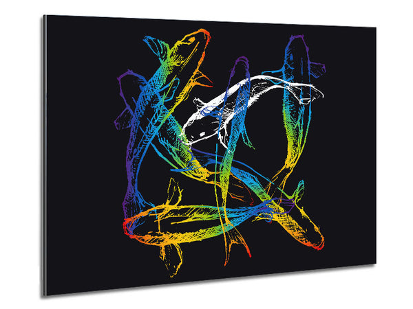 Japanese Rainbow Koi Metal Print