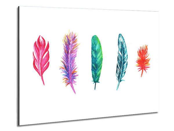 Red Indian Rainbow Feathers Metal Print