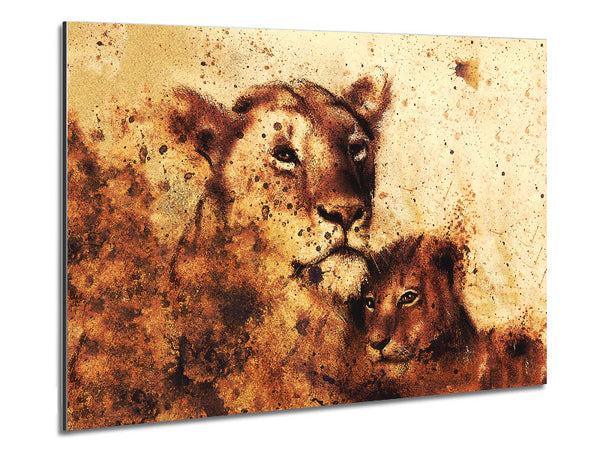 Indian Lioness Metal Print
