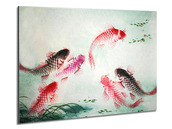 Japanese Colourful Koi Metal Print