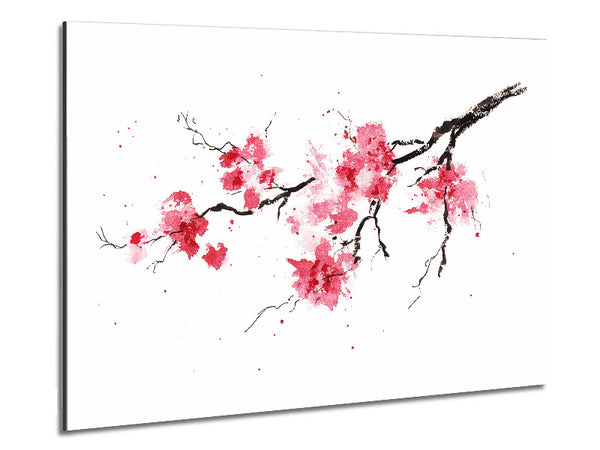 Chinese Cherry Blossom branch Metal Print