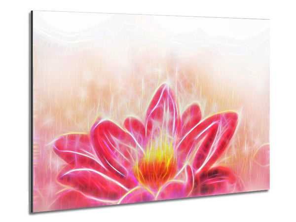 The Energy Of A Lotus Flower Metal Print
