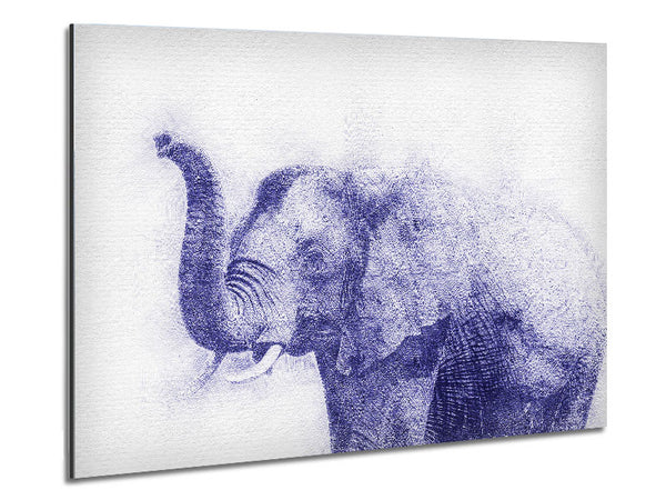 Beautiful Indian Elephant Metal Print