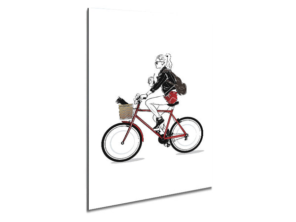 Style Cycle Metal Print