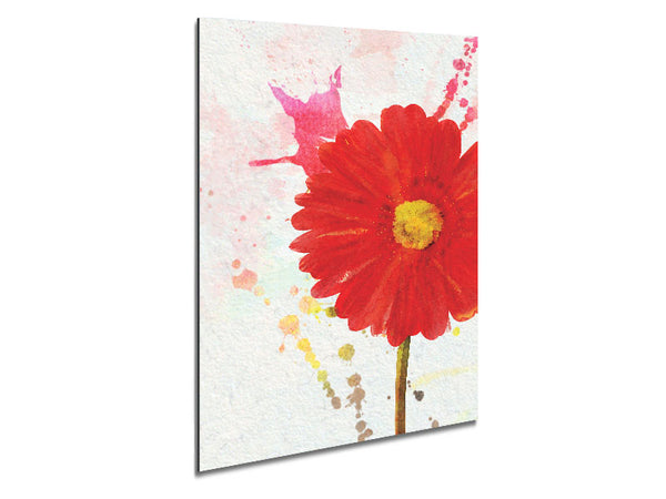 Gerbera Splash Metal Print