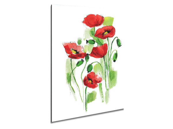 Poppies In Bloom Metal Print