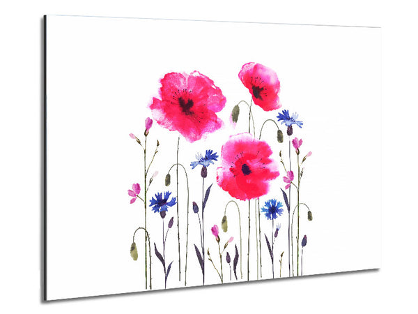 Pink Poppy Abstract Metal Print