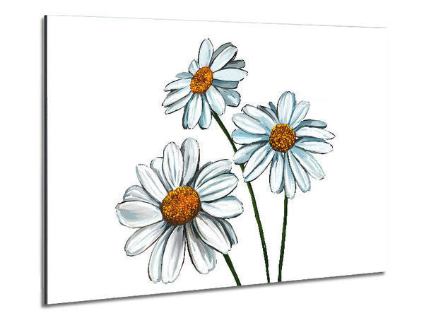 White Daisy Trio Metal Print