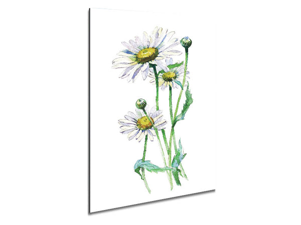 Daisy-Zentrum