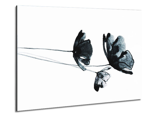 Black Poppy Abstract Metal Print